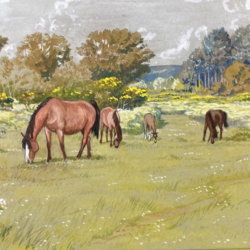Adrian mapple 20th horses - adrian,
