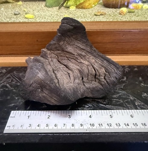 Natural aquarium driftwood - aquarium,