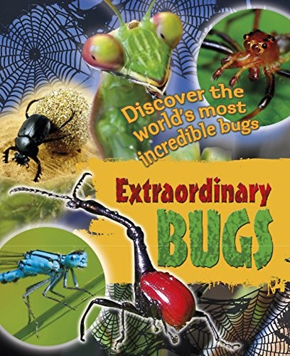 Extraordinary bugs gray leon - bugs,, gray,