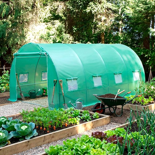 Polytunnel greenhouse poly - greenhouse,