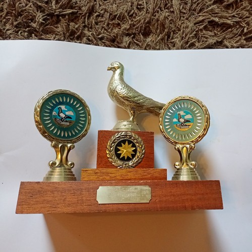 Pigeon racing trophy f c - pigeon,