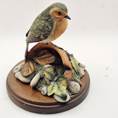 Border fine arts robin - fine,