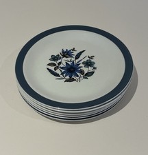 6  Vintage ALFRED MEAKIN ~ COUNTRY SIDE ~ 17cm/7" TEA PLATES