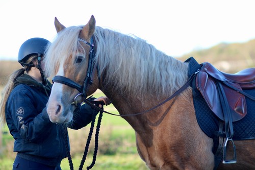 Official libby grass reins - official,