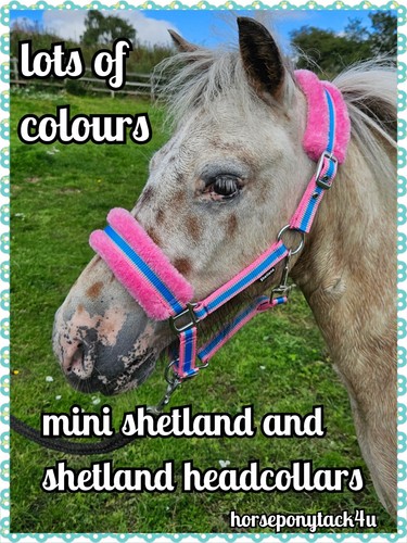 New colours small - new,