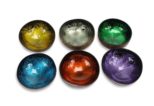 Thai coconut shell - shell, bowl