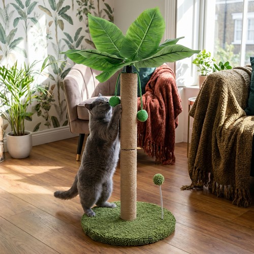 Palm tree cat - palm,