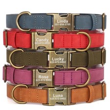 Personalized Anti Lost Dog