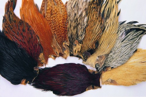 Veniard indian cock capes - capes, for
