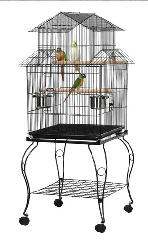 Bird cage - bird,