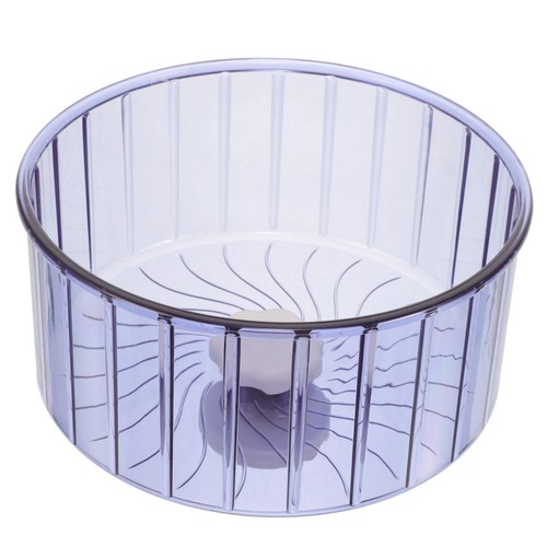 Hamster wheel guinea pig - guinea,