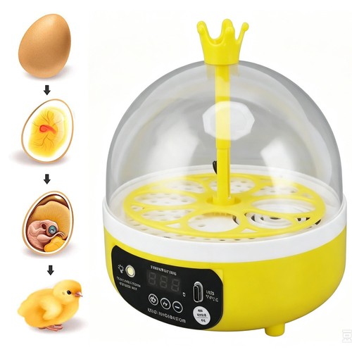 Egg incubator automatic - incubator, eggs