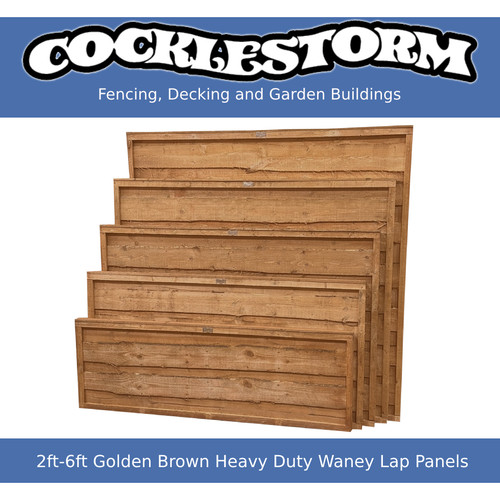 2ft 6ft high golden brown - golden,