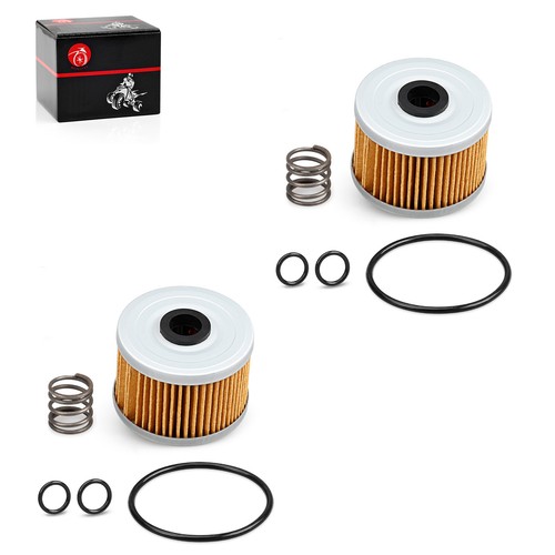 Oil filter spring for - oil,