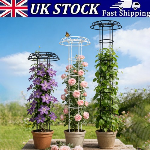 Garden trellis umbrella - garden,