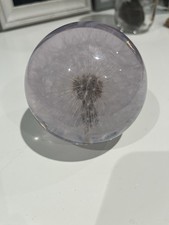 Dandelion Flower Resin Hafod