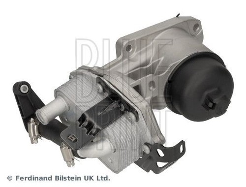 Blue print adbp210224 oil - print,