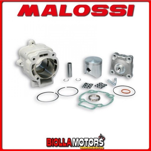 3111140 thermal group malossi - group,