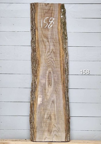 Elm live edge timber 1230mm - edge, x