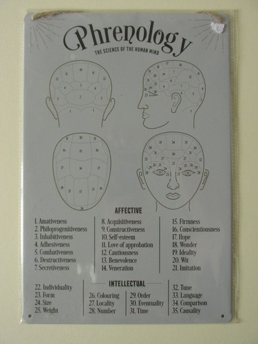 Phrenology metal hanging wall - phrenology,