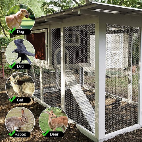 25m wire mesh - mesh, coop