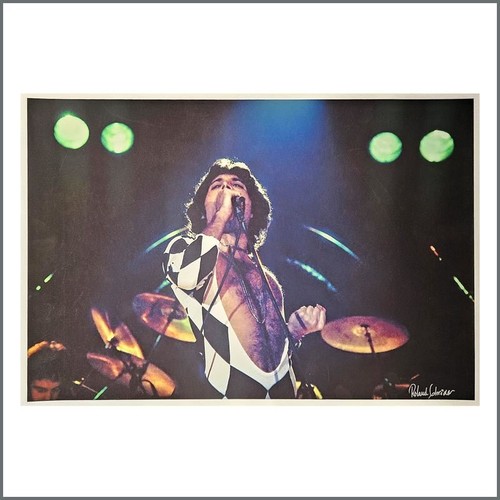 Collection freddie - collection,
