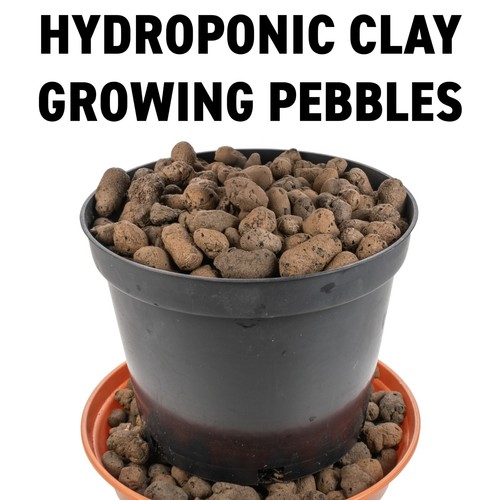 16mm leca clay pebble - 8–16mm,