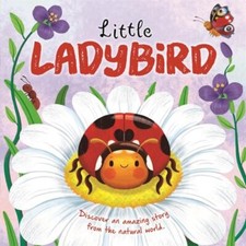 Little Ladybird (An