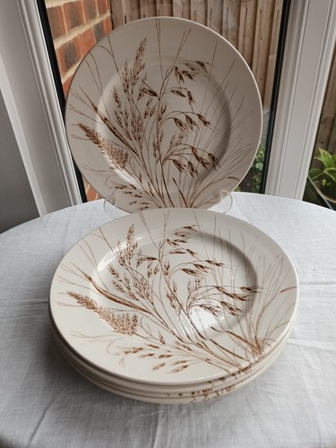 Staffordshire english - staffordshire,