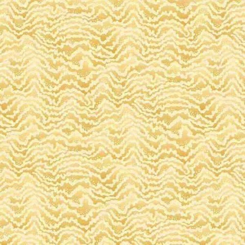Ika50121w ichika contour - -,
