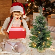 24 Inch Small Christmas Tree With Floral Pine Needles Warm White LED Light St AU