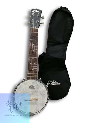 Aria acoustic instrument - aria,