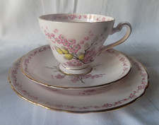 Tuscan April Beauty  China