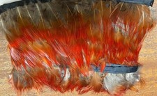 Golden Pheasant Red Flank