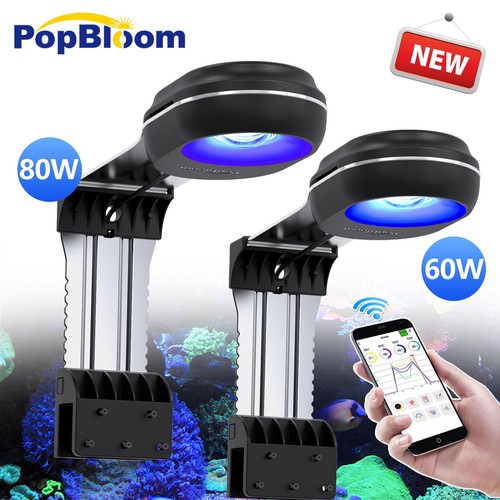 Popbloom rl60 rl80 wifi - rl80,