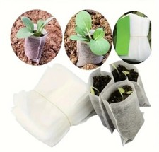 Biodegradable Seedling Seed
