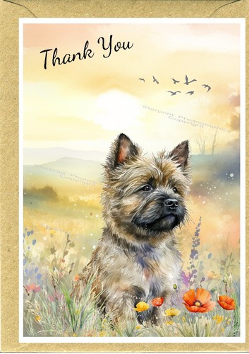 Cairn terrier dog thank you - cairn,