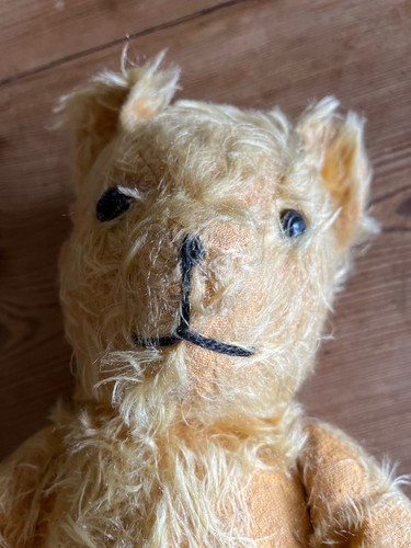 Vintage 1950s pedigree teddy - vintage,