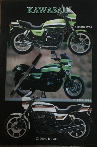 Kawasaki eddie lawson replica - eddie,