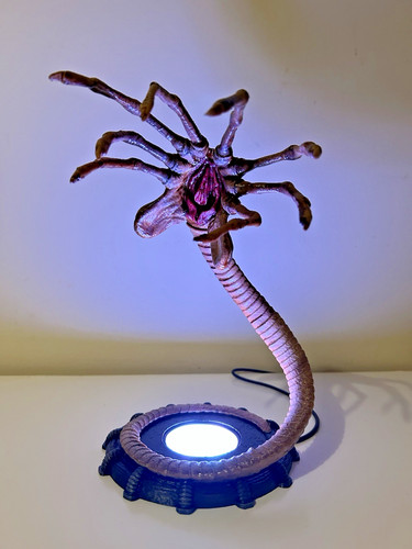 Alien facehugger - alien,