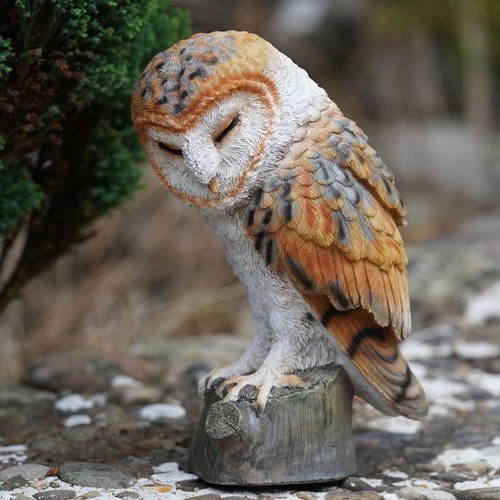 Barn owl resin - owl, home
