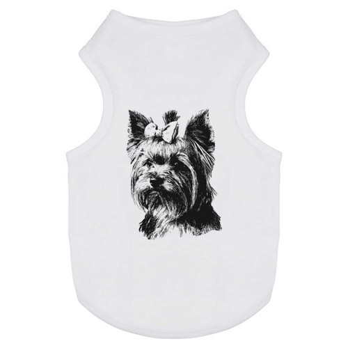 Yorkshire terrier with - 'yorkshire, bow'