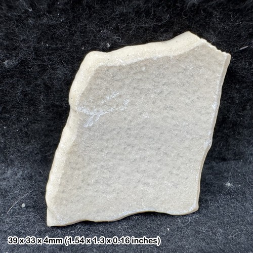 Fossil aepyornis eggshell - fossil,