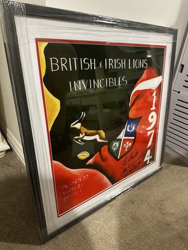 British irish lions print - irish,