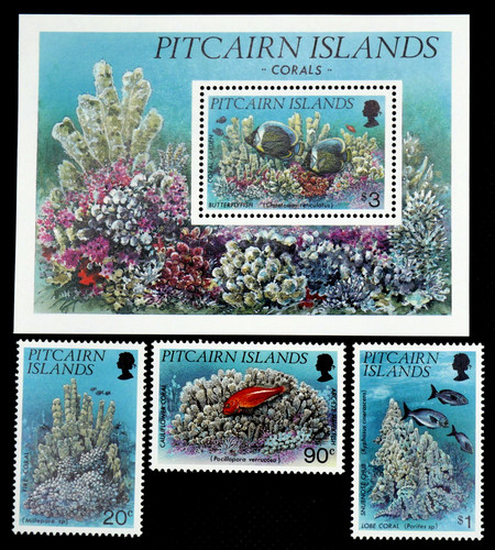 Marine life corals - marine, ~