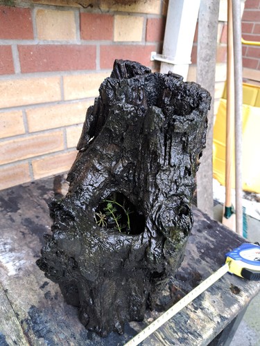Large aquarium bogwood - large,