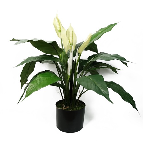 Artificial peace lily - artificial,