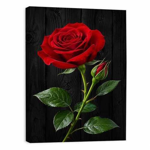 Red rose canvas - rose, wall
