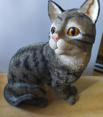 Leonardo sitting tabby - sitting,