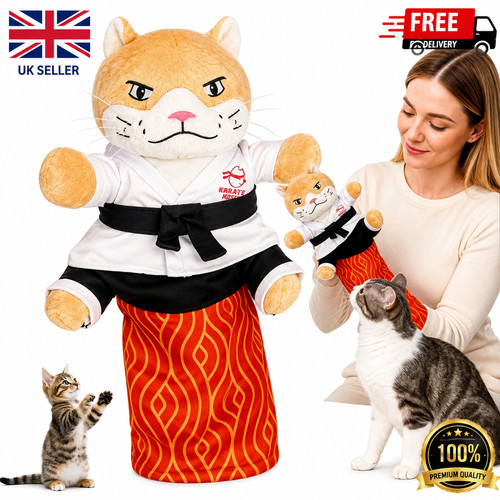 Karate kitty cat - kitty, wrestling